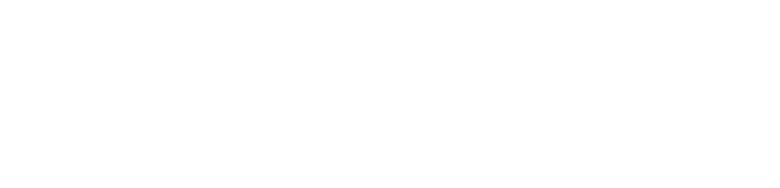 Iconomy